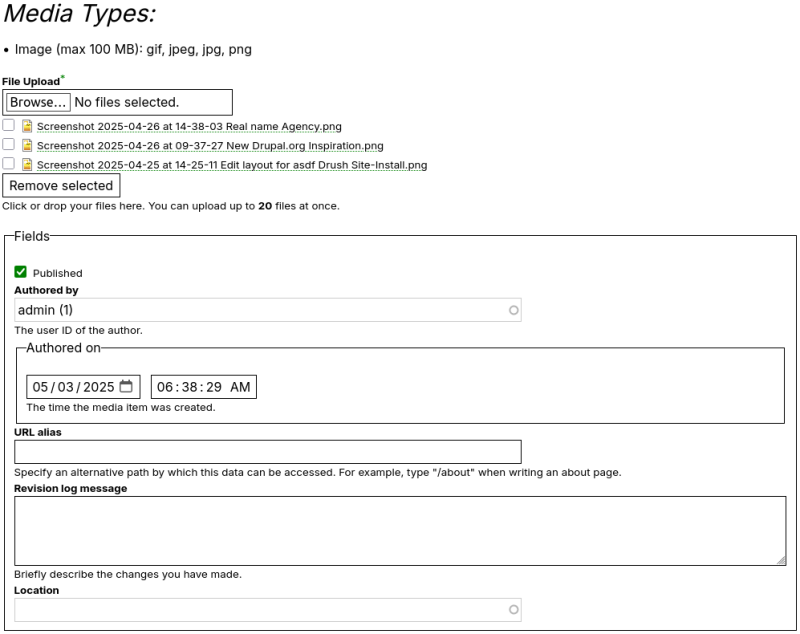 Media Bulk Upload edit form